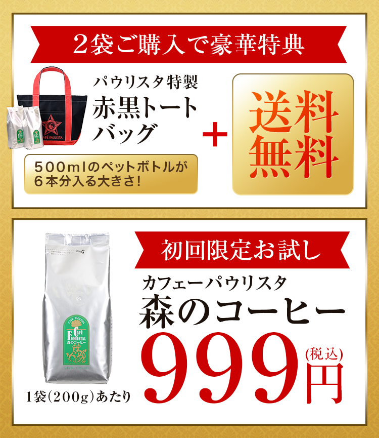 初回限定特別価格999円