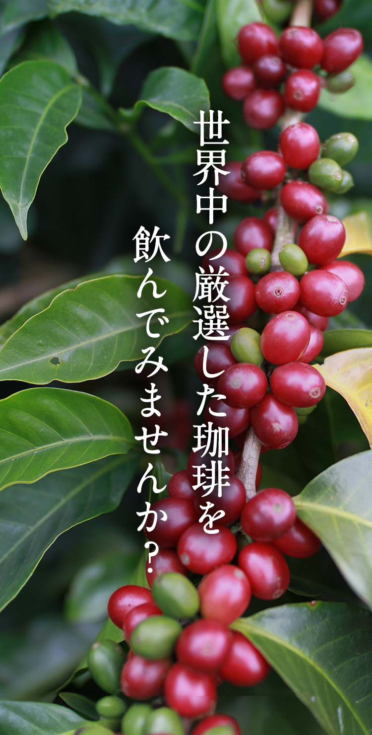 銀座老舗のこだわりの珈琲