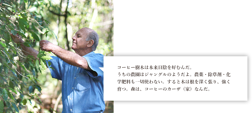 自然な甘味と明るい酸味、深い味わい ＃ジョン・ネット氏のコーヒー豆