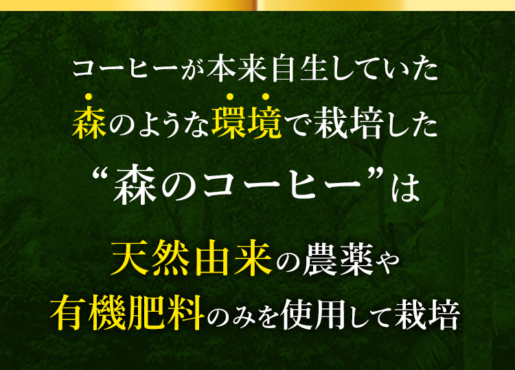 森のコーヒーは農薬・化学肥料不使用。