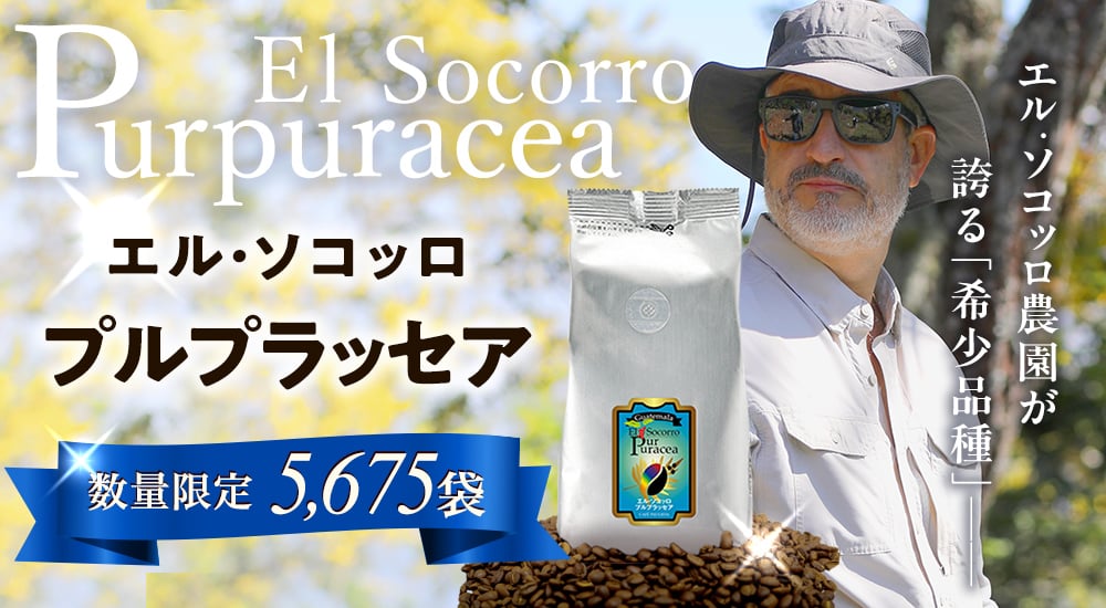 エル・ソコッロ農園が誇る「希少品種」エル・ソコッロ プルプラッセア。数量限定5,675袋