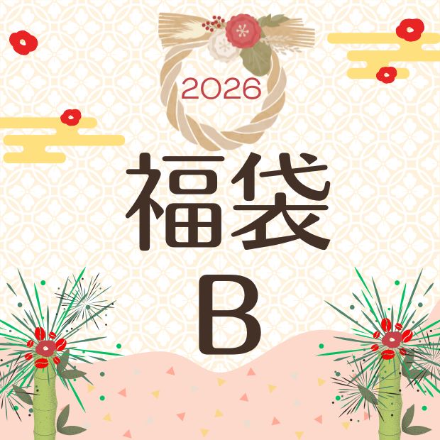 2026年　銀ブラ福袋B