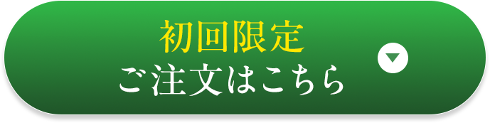 初回限定お試しセットを注文する